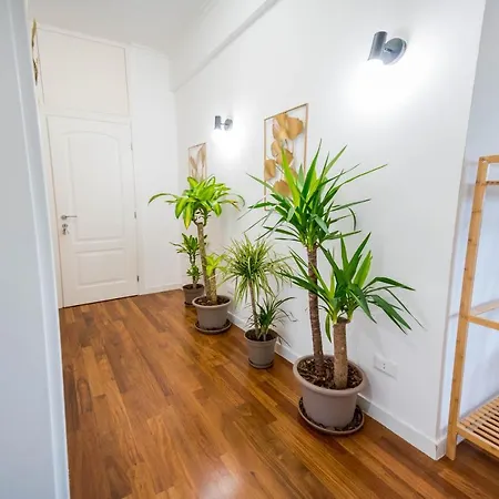 Apartament Domusfebo-vaticansuites *